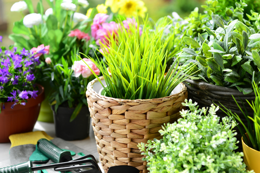 Best Containers for Small Space Gardening: 15 Top Picks for 2025 (Plus Expert Tips)