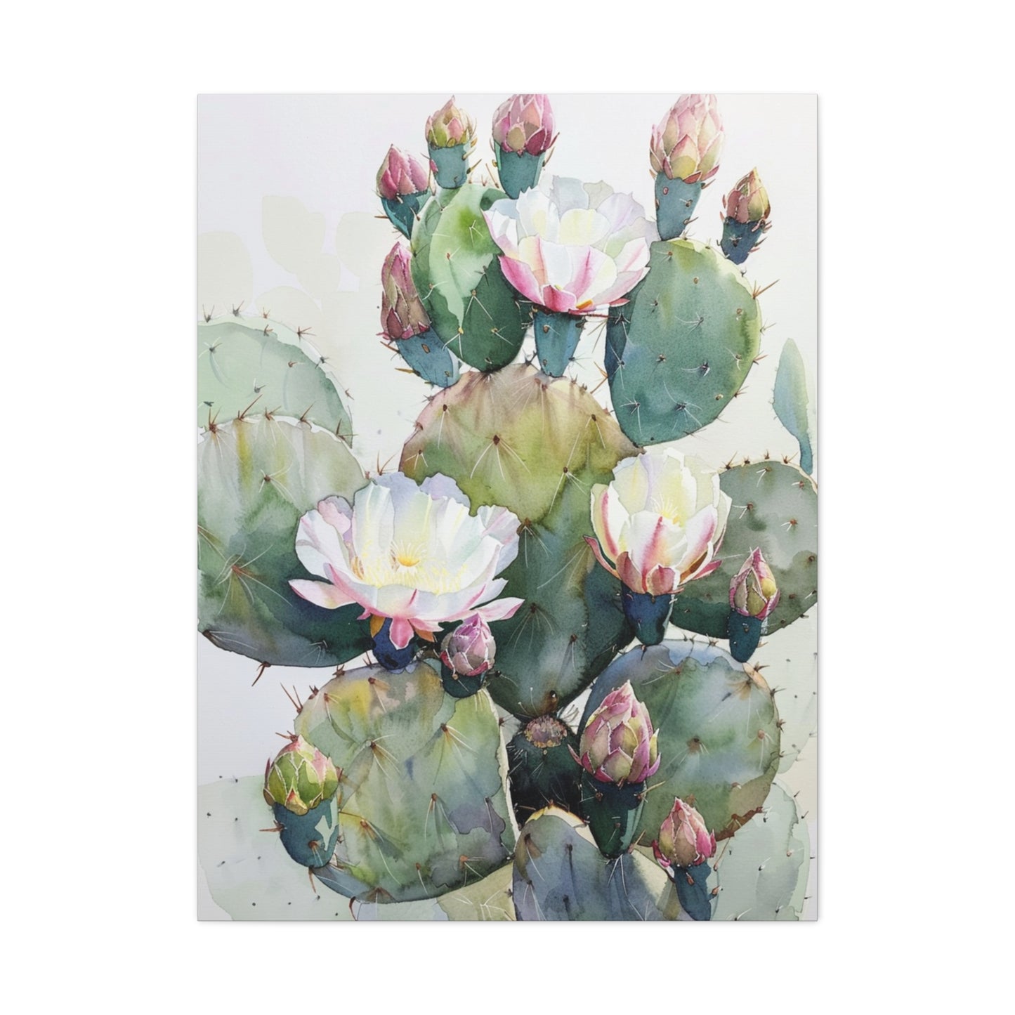 Cactus in Bloom Canvas Print