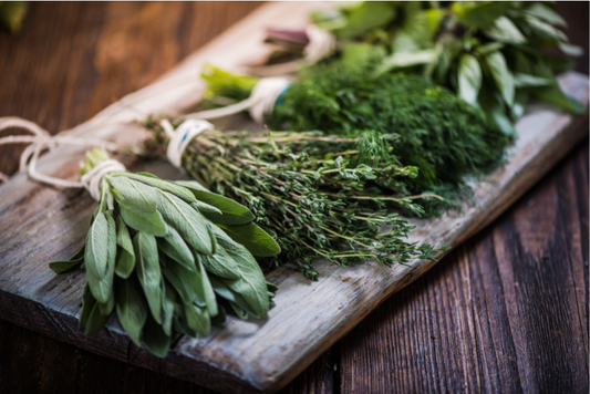 freshly cut bouquettes of herbs