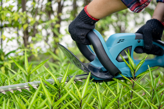 Best Herb Cutting Tools: Essential Kitchen Equipment for Fresh Herbs (Chef-Approved Guide)