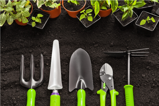Best Small Space Gardening Tools in 2025: Essential Kit for Beginner Gardeners