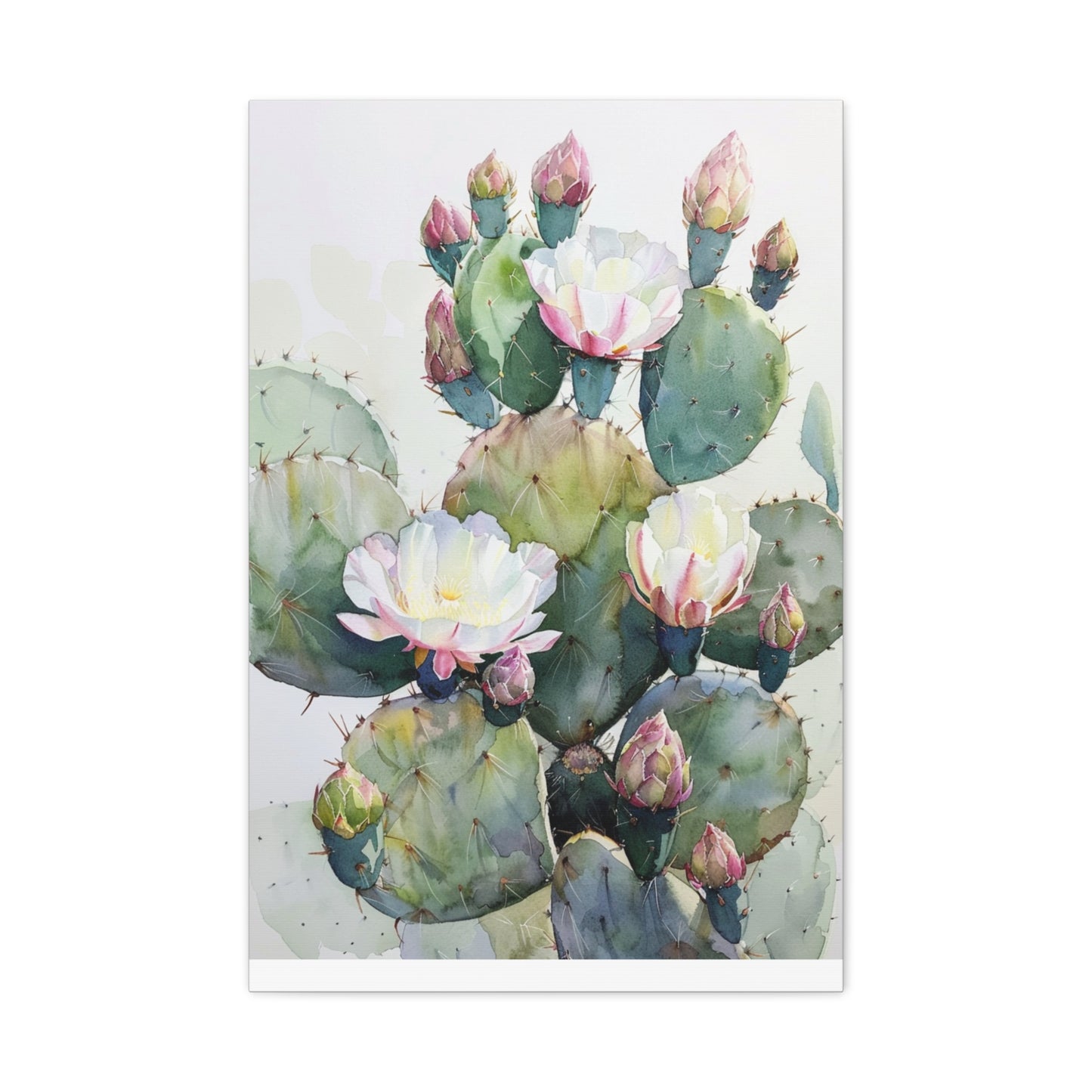 Cactus in Bloom Canvas Print