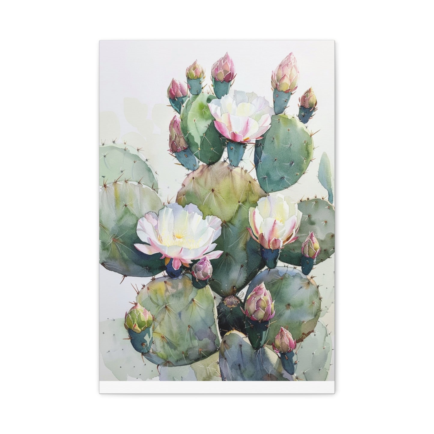 Cactus in Bloom Canvas Print