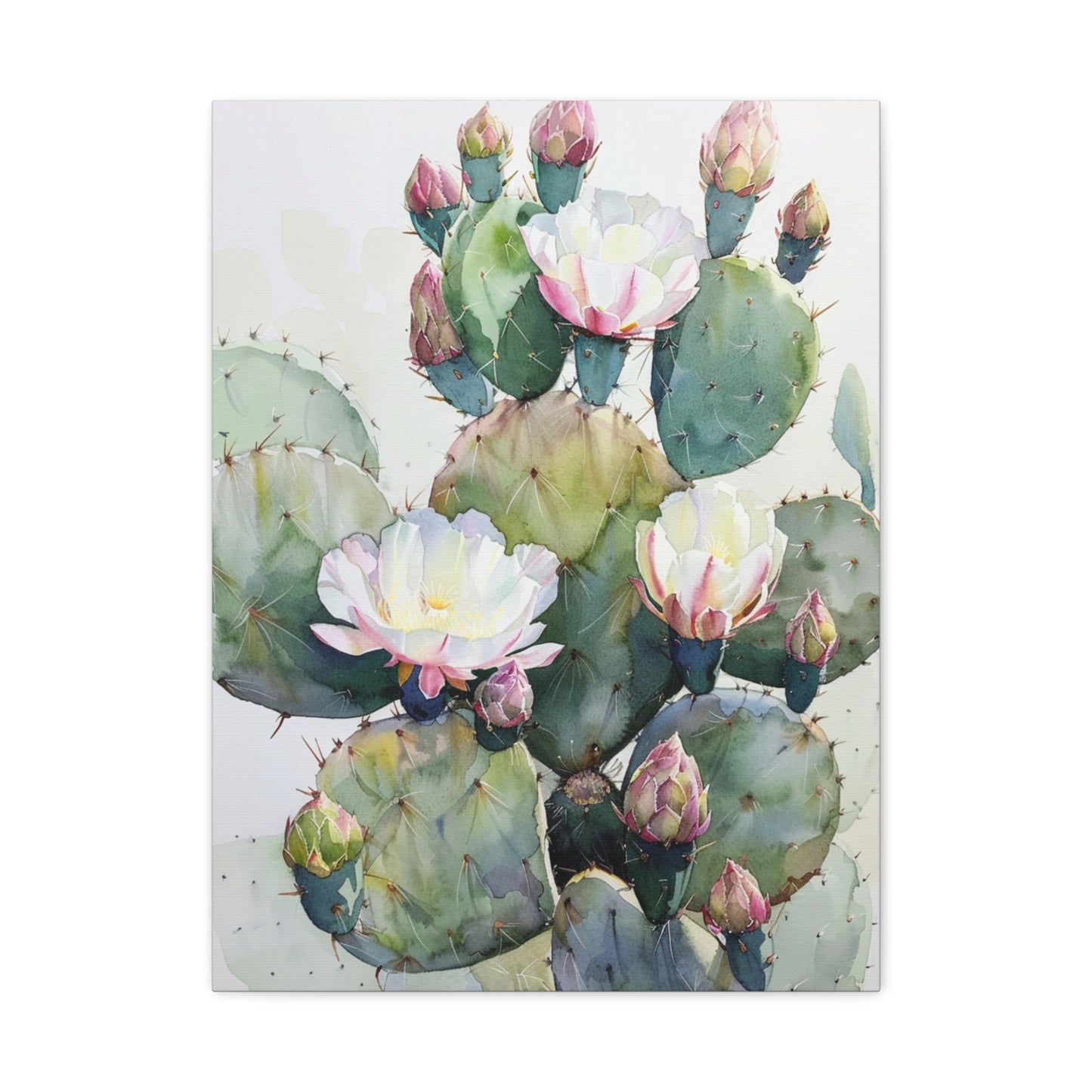 Cactus in Bloom Canvas Print